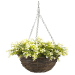 Kingfisher Dark Rattan Willow Wicker Round Hanging Flower Basket 12 inch HB12R