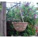 Kingfisher Dark Rattan Willow Wicker Round Hanging Flower Basket 12 inch HB12R