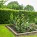 Kingfisher Garden Obelisk Rose or Climbing Plant Metal Support Frame 1.9m WGO