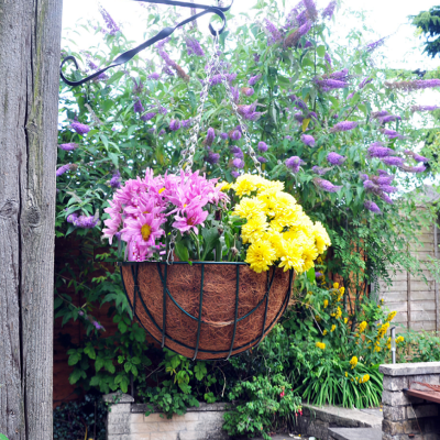 Kingfisher Green Wire Hanging Flower Basket 12 inch HB12G