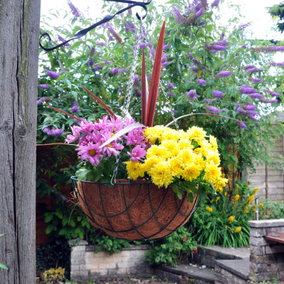 Kingfisher Green Wire Hanging Flower Basket 14 inch HB14G