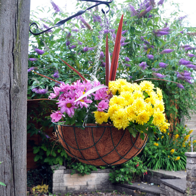 Kingfisher Green Wire Hanging Flower Basket 16 inch Large HB16G