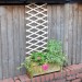Kingfisher Garden Plant Riveted Wood Trellis Natural 6ft x 2ft TR2HD