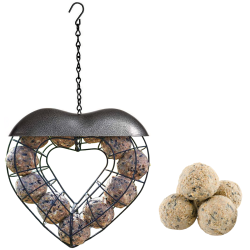 Natures Market Heart Fat Ball Suet Ball Bird Feeder BFLOVE2