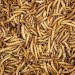Natures Market Wild Bird Food Dried Mealworms 500g Lrg Bag BFMW06