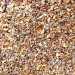 Natures Market Wild Bird Food Robin Seed and Insect Mix 900g BFWF02