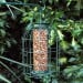 Natures Market Squirrel Guard Nut Peanut Bird Food Feeder Green BF008N