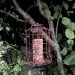 Natures Market Squirrel Guard Nut Peanut Bird Food Feeder Red BF007