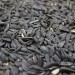 Natures Market Wild Bird Food Whole Sunflower Seed 900g BFWF04