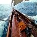 Owatrol D2 DEKS OLJE Yacht Marine Flexible High Gloss Wood Oil Varnish Finish D2-1