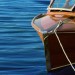 Owatrol D2 DEKS OLJE Yacht Marine Flexible High Gloss Wood Oil Varnish Finish D2-1
