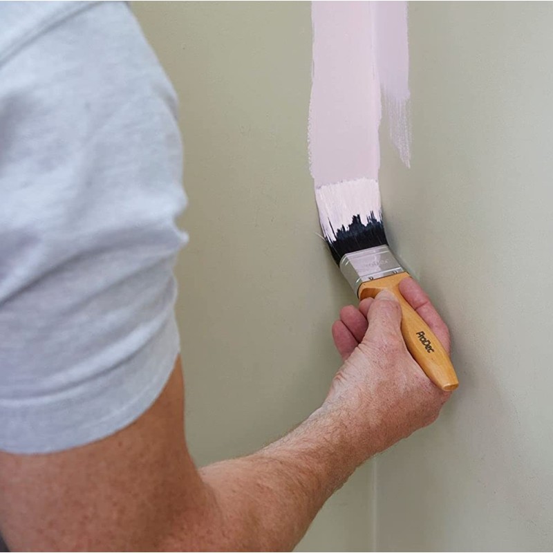 Prodec 5pc Decorator Water Based Paint Varnish Brush Set PBPT039