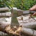 Roughneck Vintage 65-670 Hand Axe 600g Hatchet ROU65670