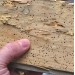 Sika Sikagard Woodworm Killer 5 Litre Wood Worm Treatment 408177 SKGDWORM5