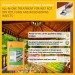 Sika Sikagard Universal Rot Fungi Insect and Wood Treatment 422881 SKGDUNI5