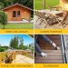 Sika Sikagard Universal Rot Fungi Insect and Wood Treatment 422881 SKGDUNI5