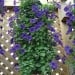 Silverline Hanging Flower Plant Growing Tube Bags Twin Pack 264904