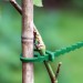 Silverline Garden Plant Adjustable Green Ties 197535 30pk