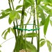 Silverline Garden Plant Green Tie Wire 4.8mm 5m 868820 