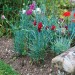 Silverline 3 Ring Garden Plant Support 600mm High 921382