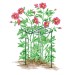 Silverline Garden Plant Grow Through Support Frame Ring 972045