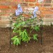 Silverline Garden Plant Grow Through Support Frame Ring 972045