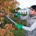 Silverline Garden Bypass Branch Lopping Lopper Shears 467430