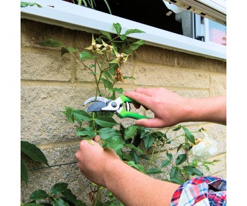 Garden Pruning