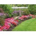 Silverline Garden Hand Pump Spray Pressure Sprayer 5 litre 675108