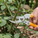 Tolsen Industrial Bypass Pattern Pruning Shear 200mm 31032