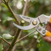 Tolsen Industrial Bypass Pattern Pruning Shear 200mm 31032
