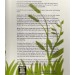 Wessex Chemical Blue Bio Toilet Fluid Treatment 500ml WP0901